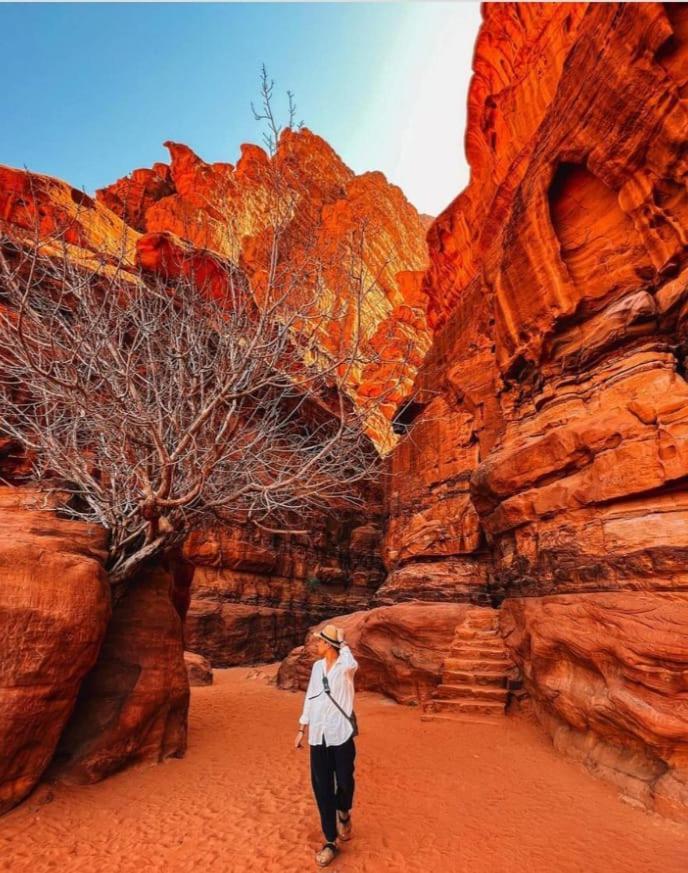 Saleem With Jeep Tour Apartment Wadi Rum Exterior photo