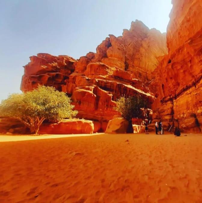 Saleem With Jeep Tour Apartment Wadi Rum Exterior photo